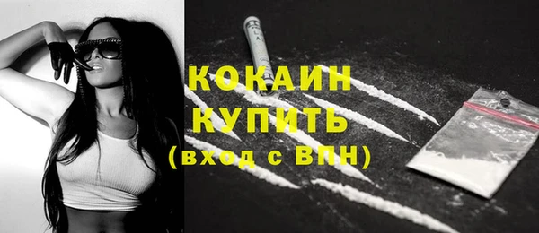 2c-b Новозыбков
