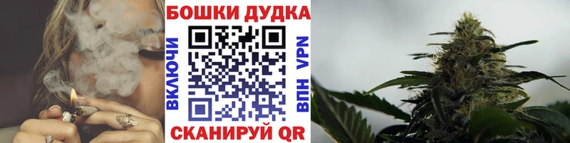 Каннабис план  Николаевск-на-Амуре 